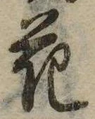 花，已得其位