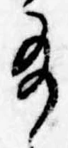 給の位置