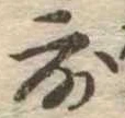 露 위치 확인됨