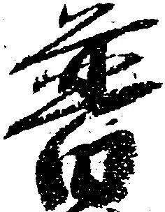 Đã định vị 普