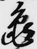 已定位亀