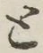 글자 と