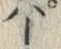 글자 パ