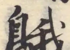 䳘 위치 확인됨