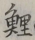 文字鯉