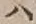 字ハ