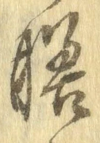 膳 위치 확인됨