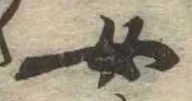 位置 確認된 女
