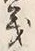 文字義