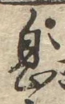 息 위치 확인됨