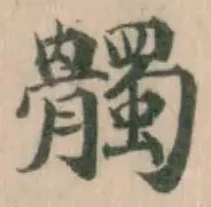 髑 위치 확인됨