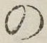 字の