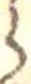 位置定マレル𛃰