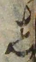 位置 確認된 𛁈