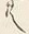 Chữ 共