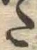 Đã định vị 𛁠