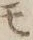 文字 モ