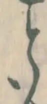 글자 と