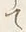 글자 て