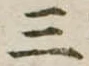 位置定マレル三
