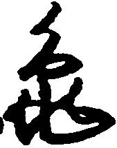 已定位亀