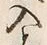 Character 入