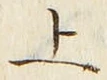 文字 上