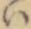 Đã định vị 𛂞