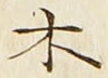 𡨸木