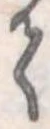 𛁳 위치 확인됨
