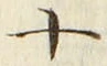 𡨸十