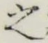 글자 之