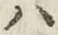 字ハ