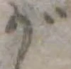 位置 確認된 が