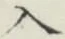 文字入
