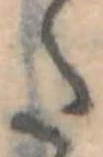 Đã định vị 𛁠