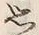 글자 思