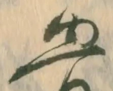已定位骨