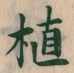 글자 植