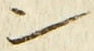 字ン