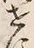 字せ