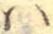 𛂞 위치 확인됨