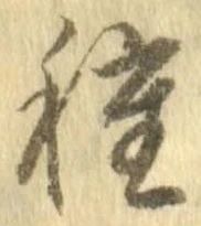 已定位種