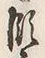 字濁