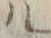 「ル」字
