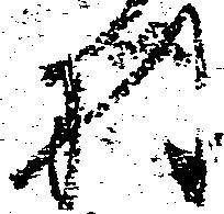 村 위치 확인됨