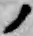 字ノ