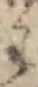 Đã định vị 𛁠