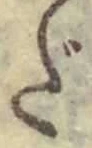 글자 だ