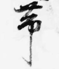 已定位帯